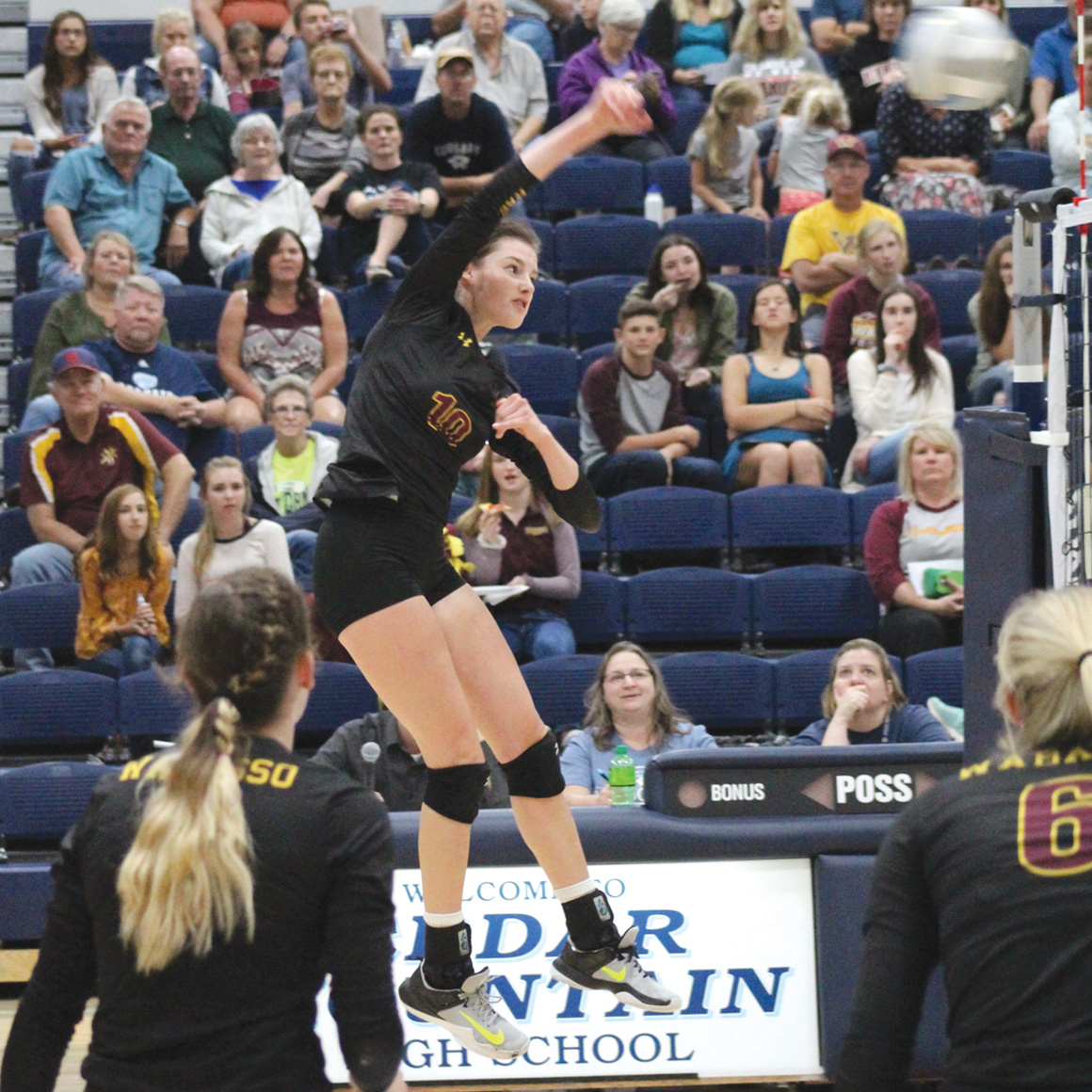Wabasso tops Cedar Mountain in 3 sets News, Sports, Jobs The Journal